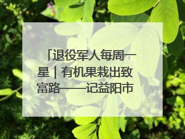 退役军人每周一星｜有机果栽出致富路——记益阳市银城南湖蔬果农民专业合作社总经理晏桂明