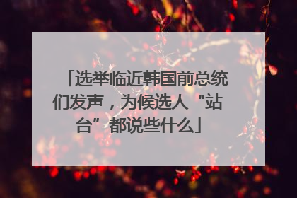 选举临近韩国前总统们发声，为候选人“站台”都说些什么