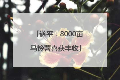 遂平：8000亩马铃薯喜获丰收