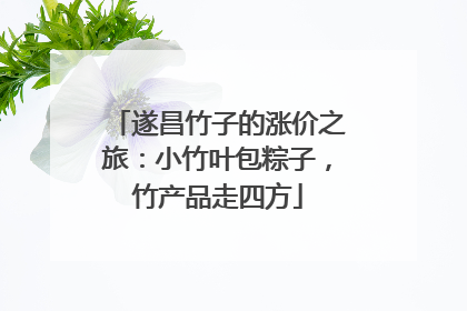 遂昌竹子的涨价之旅：小竹叶包粽子，竹产品走四方