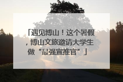 遇见博山！这个暑假，博山文旅邀请大学生做“最强宣推官”