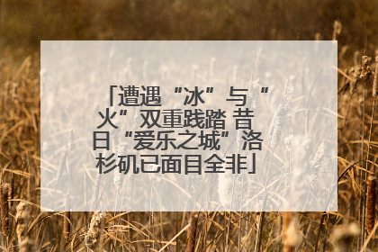 遭遇“冰”与“火”双重践踏 昔日“爱乐之城”洛杉矶已面目全非