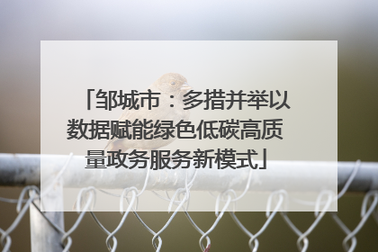 邹城市：多措并举以数据赋能绿色低碳高质量政务服务新模式