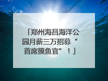 郑州海昌海洋公园月薪三万招募“首席摸鱼官”！