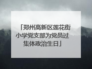郑州高新区莲花街小学党支部为党员过集体政治生日