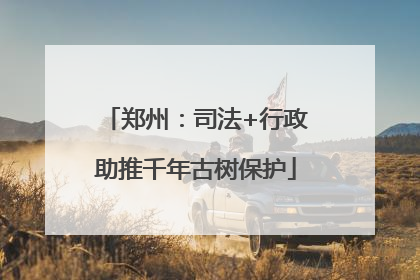 郑州：司法+行政助推千年古树保护