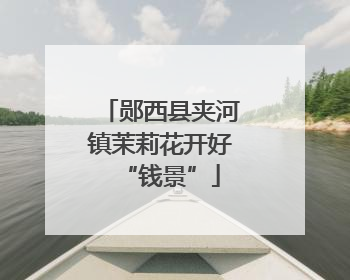 郧西县夹河镇茉莉花开好“钱景”
