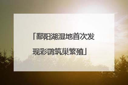 鄱阳湖湿地首次发现彩鹮筑巢繁殖