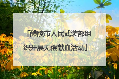 醴陵市人民武装部组织开展无偿献血活动