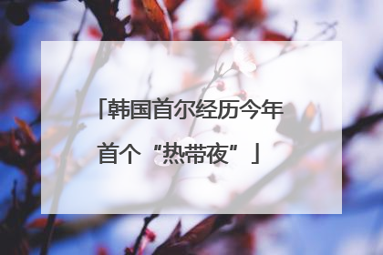 韩国首尔经历今年首个“热带夜”
