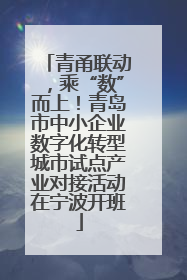 青甬联动，乘“数”而上！青岛市中小企业数字化转型城市试点产业对接活动在宁波开班