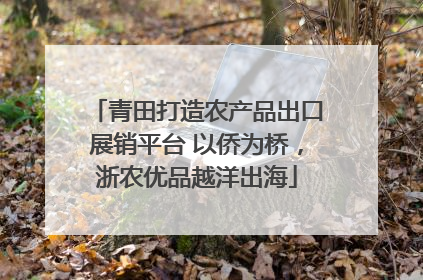 青田打造农产品出口展销平台 以侨为桥，浙农优品越洋出海