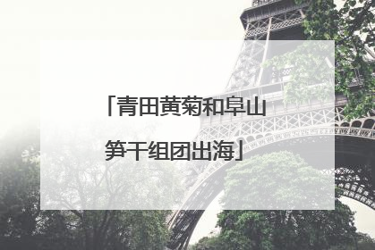青田黄菊和阜山笋干组团出海