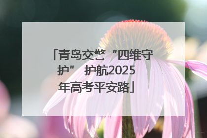 青岛交警“四维守护” 护航2025年高考平安路