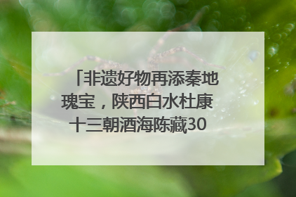 非遗好物再添秦地瑰宝，陕西白水杜康十三朝酒海陈藏30年别具一格