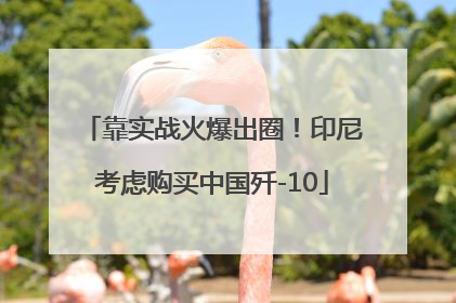靠实战火爆出圈！印尼考虑购买中国歼-10
