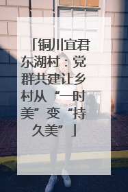 铜川宜君东湖村：党群共建让乡村从“一时美”变“持久美”