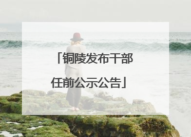 铜陵发布干部任前公示公告