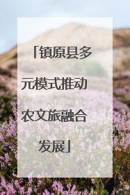 镇原县多元模式推动农文旅融合发展