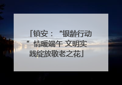 镇安：“银龄行动”情暖端午 文明实践绽放敬老之花