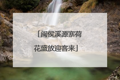 闽侯溪源寨荷花盛放迎客来