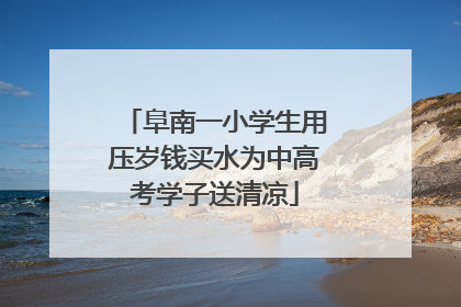阜南一小学生用压岁钱买水为中高考学子送清凉