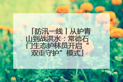 防汛一线丨从护青山到战洪水：常德石门生态护林员开启“双重守护”模式