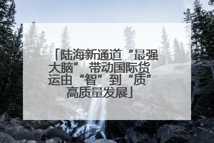 陆海新通道“最强大脑” 带动国际货运由“智”到“质”高质量发展