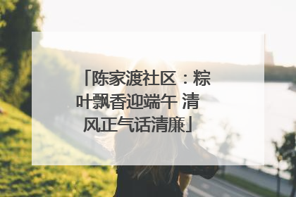陈家渡社区：粽叶飘香迎端午 清风正气话清廉
