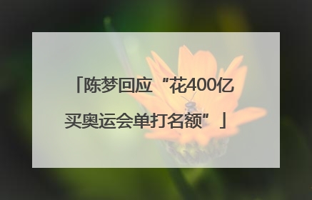 陈梦回应“花400亿买奥运会单打名额”