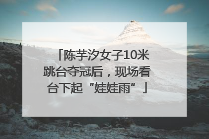 陈芋汐女子10米跳台夺冠后，现场看台下起“娃娃雨”