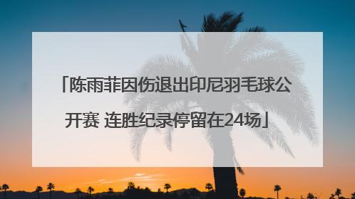 陈雨菲因伤退出印尼羽毛球公开赛 连胜纪录停留在24场