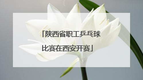 陕西省职工乒乓球比赛在西安开赛
