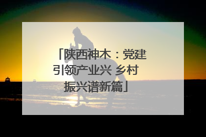 陕西神木：党建引领产业兴 乡村振兴谱新篇