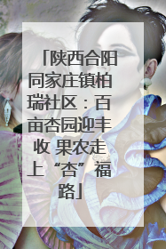 陕西合阳同家庄镇柏瑞社区：百亩杏园迎丰收 果农走上“杏”福路