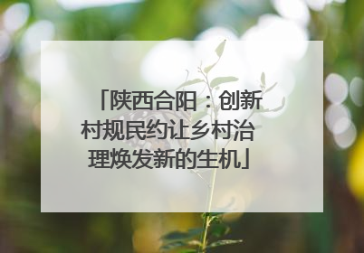 陕西合阳：创新村规民约让乡村治理焕发新的生机