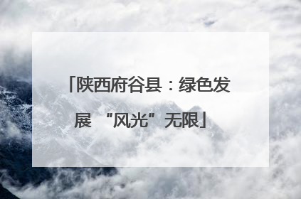 陕西府谷县：绿色发展 “风光”无限