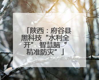 陕西：府谷县黑科技“水利全开” 智慧脑“精准防灾”