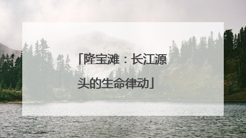 隆宝滩：长江源头的生命律动