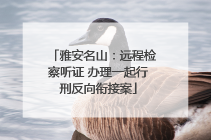 雅安名山：远程检察听证 办理一起行刑反向衔接案