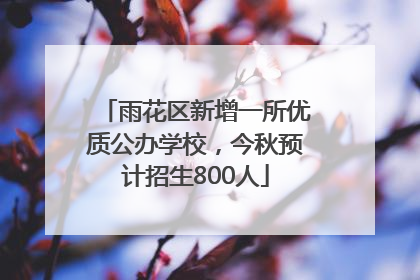 雨花区新增一所优质公办学校，今秋预计招生800人