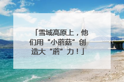 雪域高原上，他们用“小蘑菇”创造大“蘑”力！