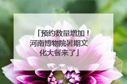 预约数量增加！河南博物院暑期文化大餐来了