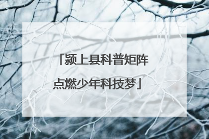颍上县科普矩阵点燃少年科技梦