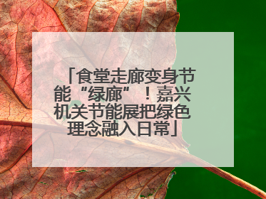 食堂走廊变身节能“绿廊”！嘉兴机关节能展把绿色理念融入日常