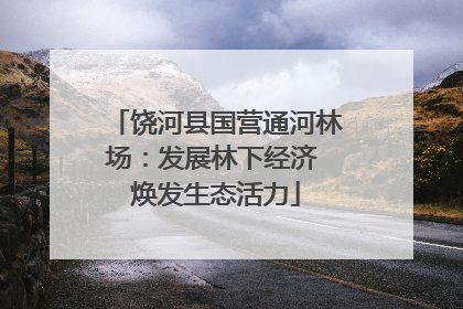 饶河县国营通河林场：发展林下经济 焕发生态活力