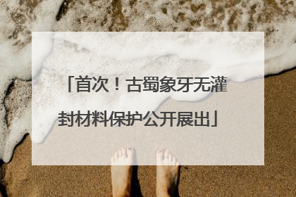 首次！古蜀象牙无灌封材料保护公开展出