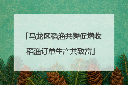 马龙区稻渔共舞促增收 稻渔订单生产共致富