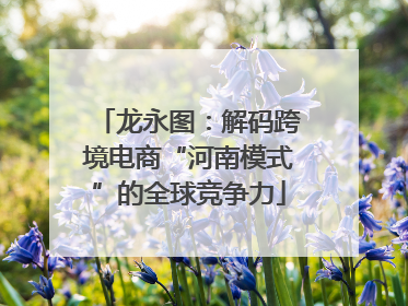龙永图：解码跨境电商“河南模式”的全球竞争力