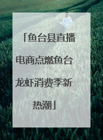 鱼台县直播电商点燃鱼台龙虾消费季新热潮